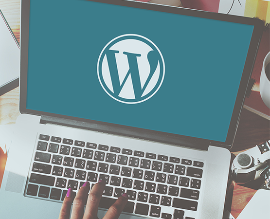 Benefits of Hiring Expert Wordpress Developer