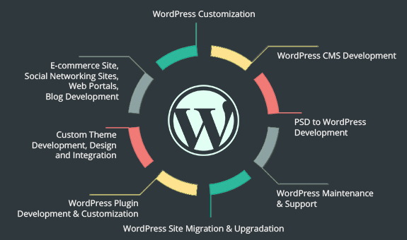 How to Hire WordPress Developer for Your Business