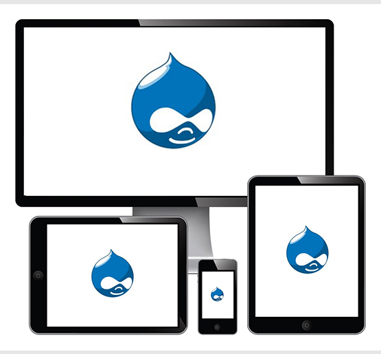 How to Hire Drupal Developer Dedicated To Your Business